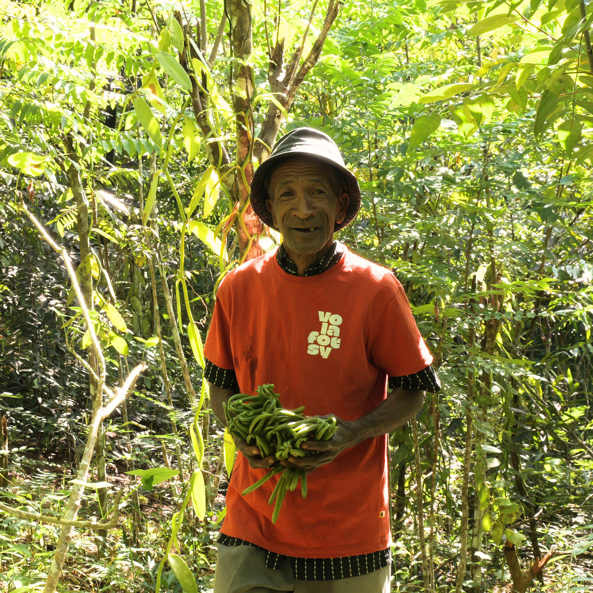 Vanille Bourbon en Poudre – 25g Authentique de Madagascar