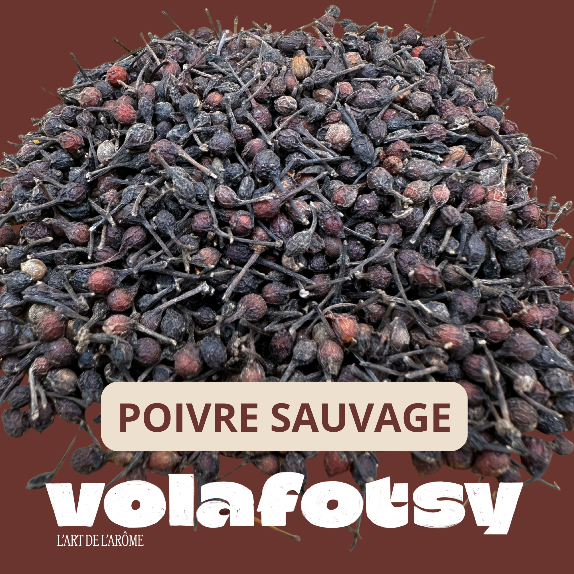 Poivre sauvage - Voatsiperifery 30gr