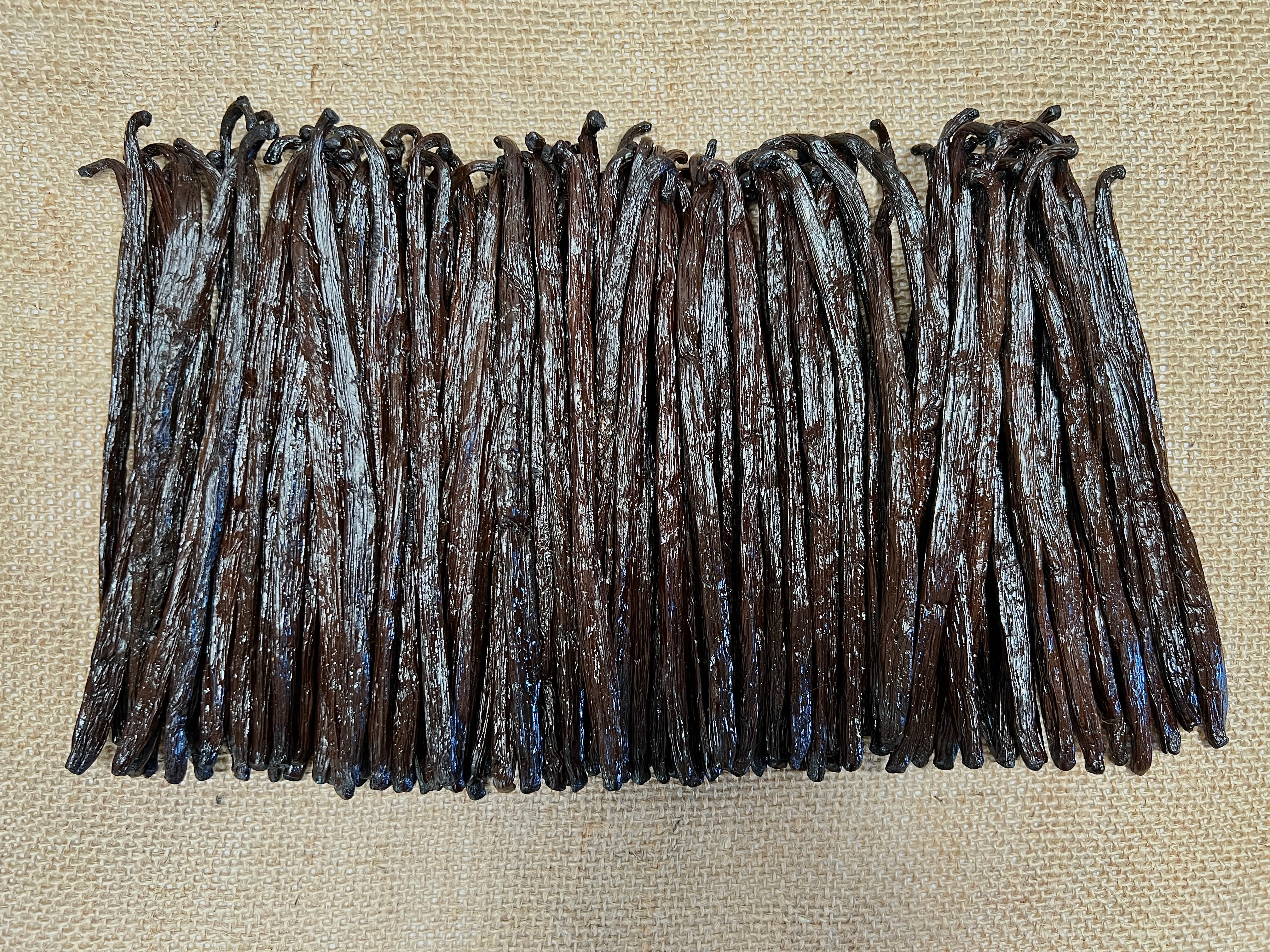 Gousses de vanille Bourbon noire – 500 g – Origine Madagascar