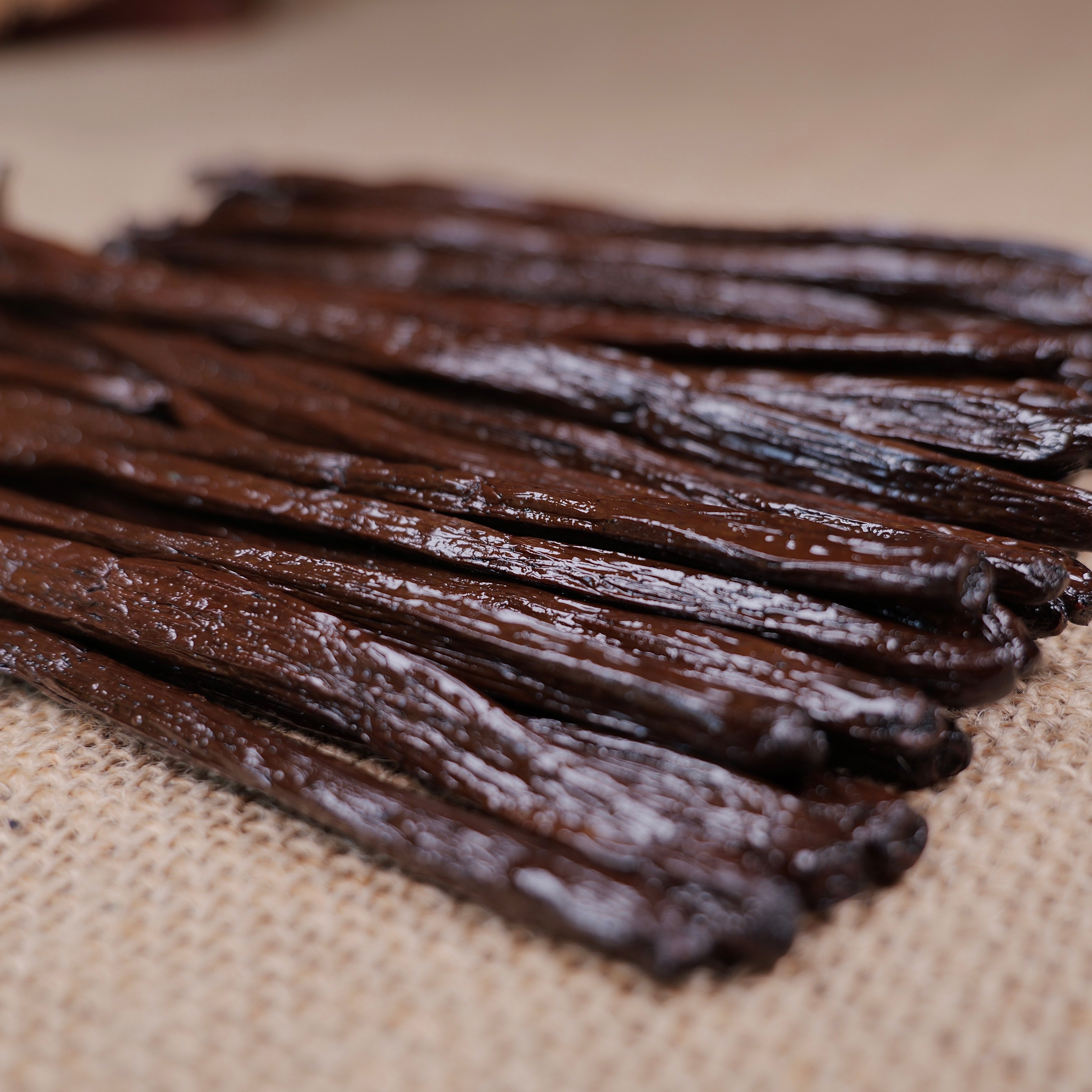 60 Gousses de vanille bourbon noire gourmet -Premium 16-18CM