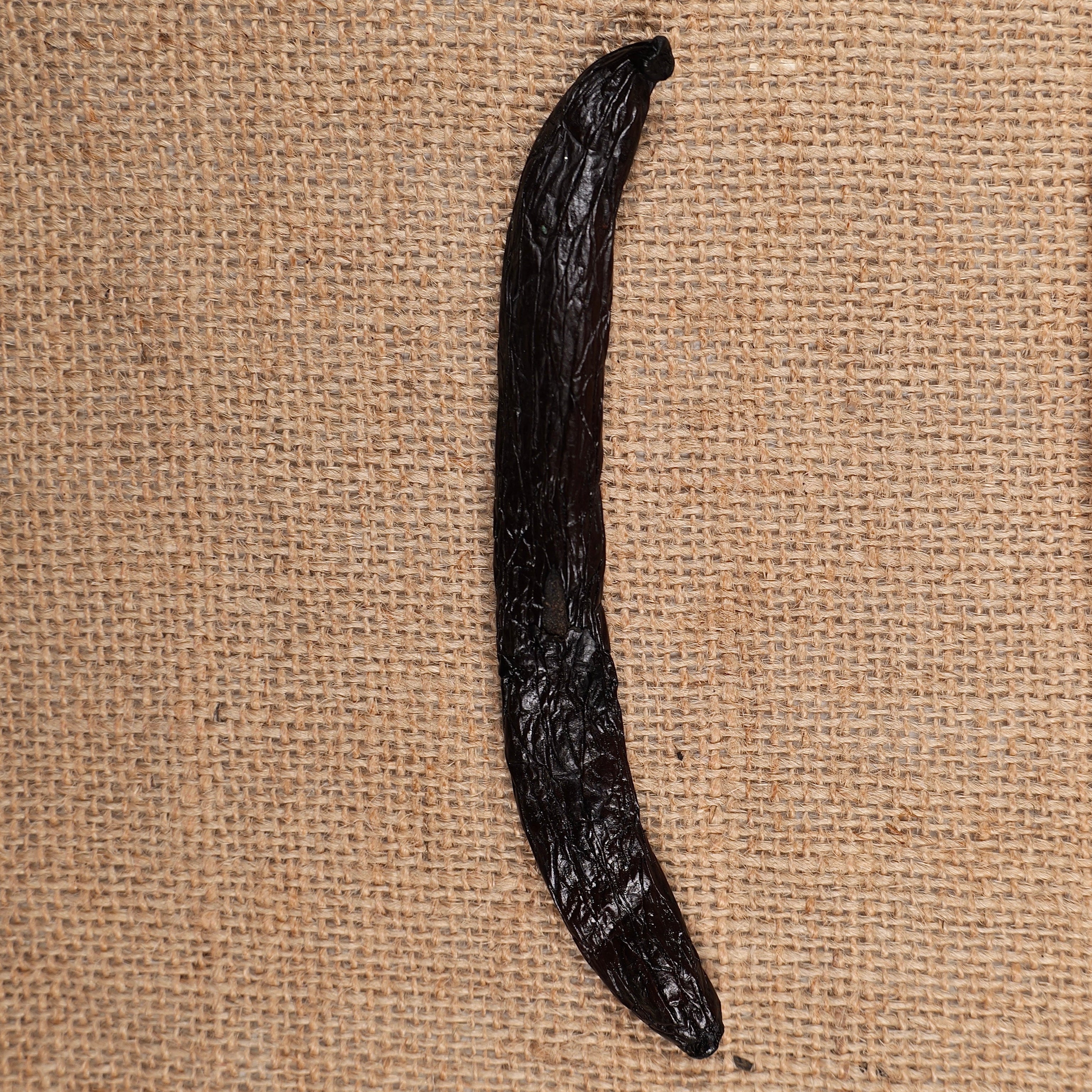 Vanille banane classe B 70gr