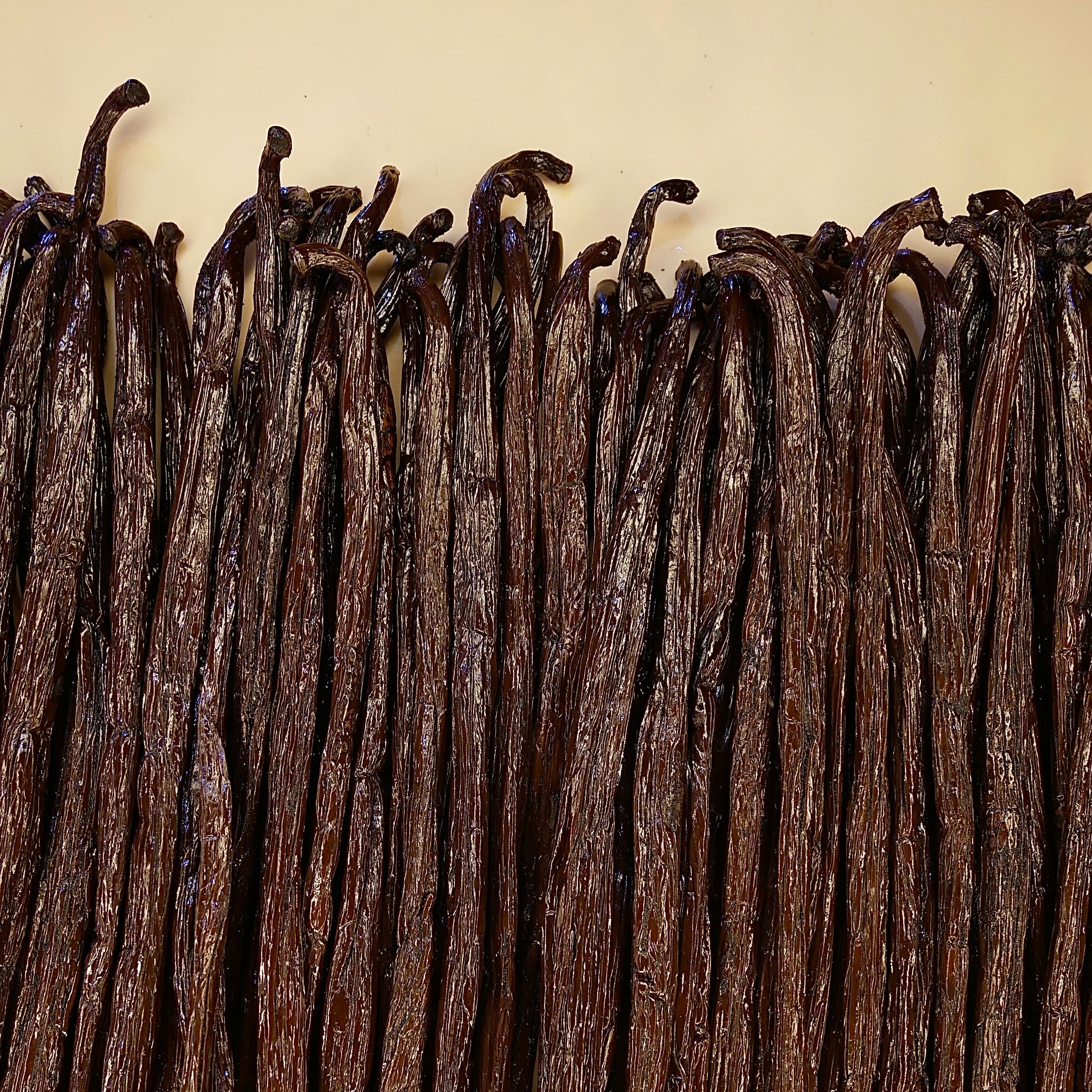 Gousses de Vanille Bourbon Noire – Origine Madagascar – 1 kg - Grade A