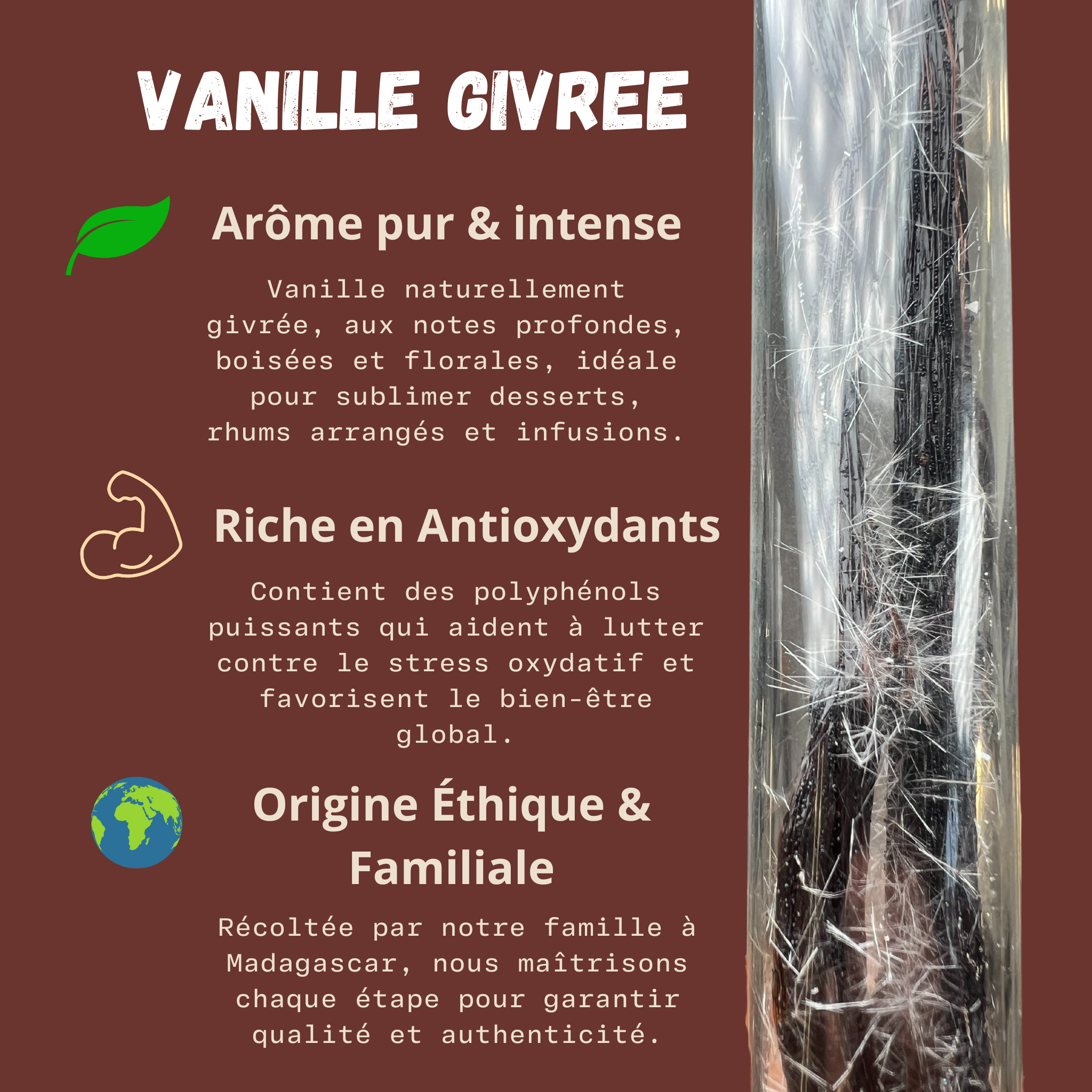 2 Gousses de vanille givrée ❄️ – Vanille d’exception