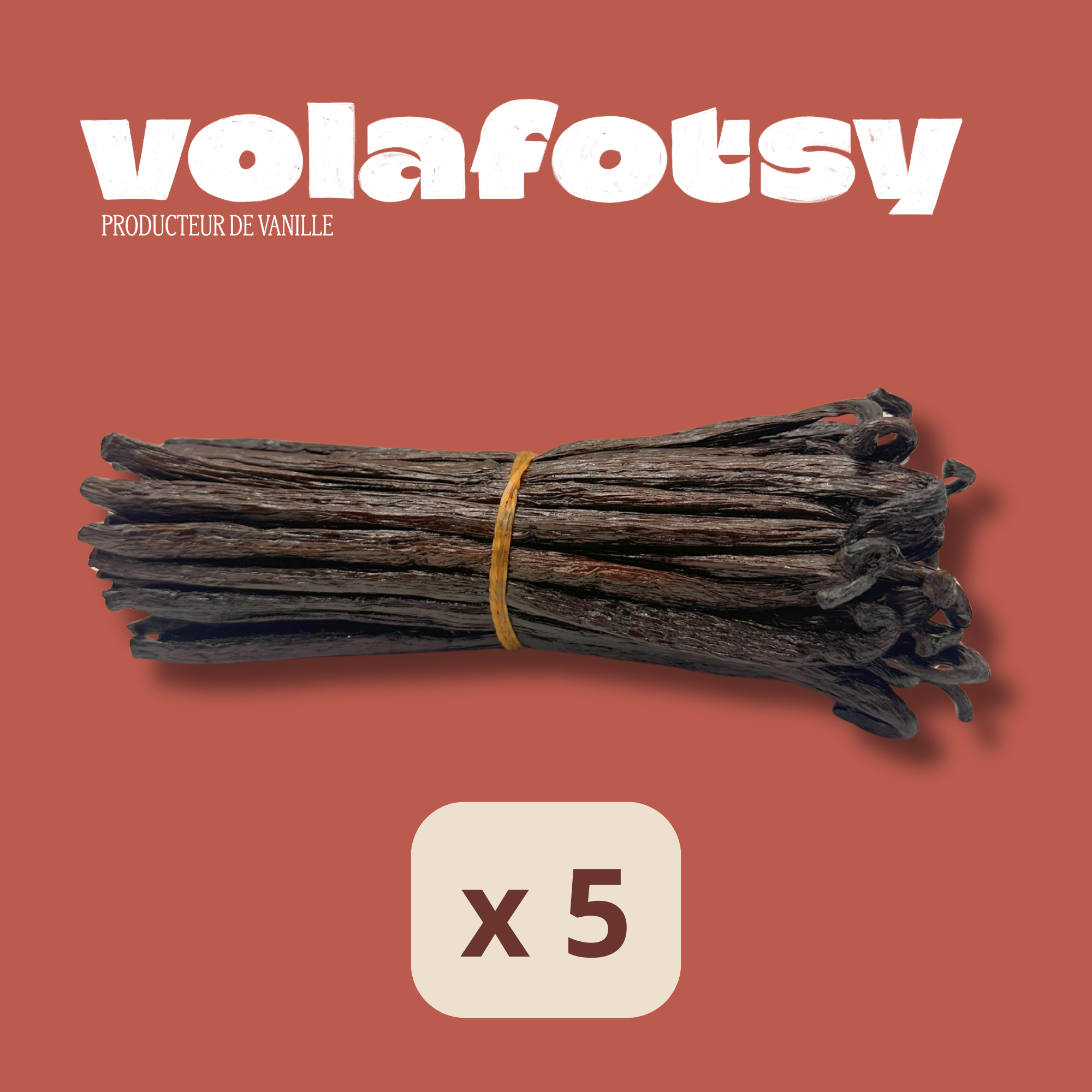 Vanille Hybride - Tsy Taitry