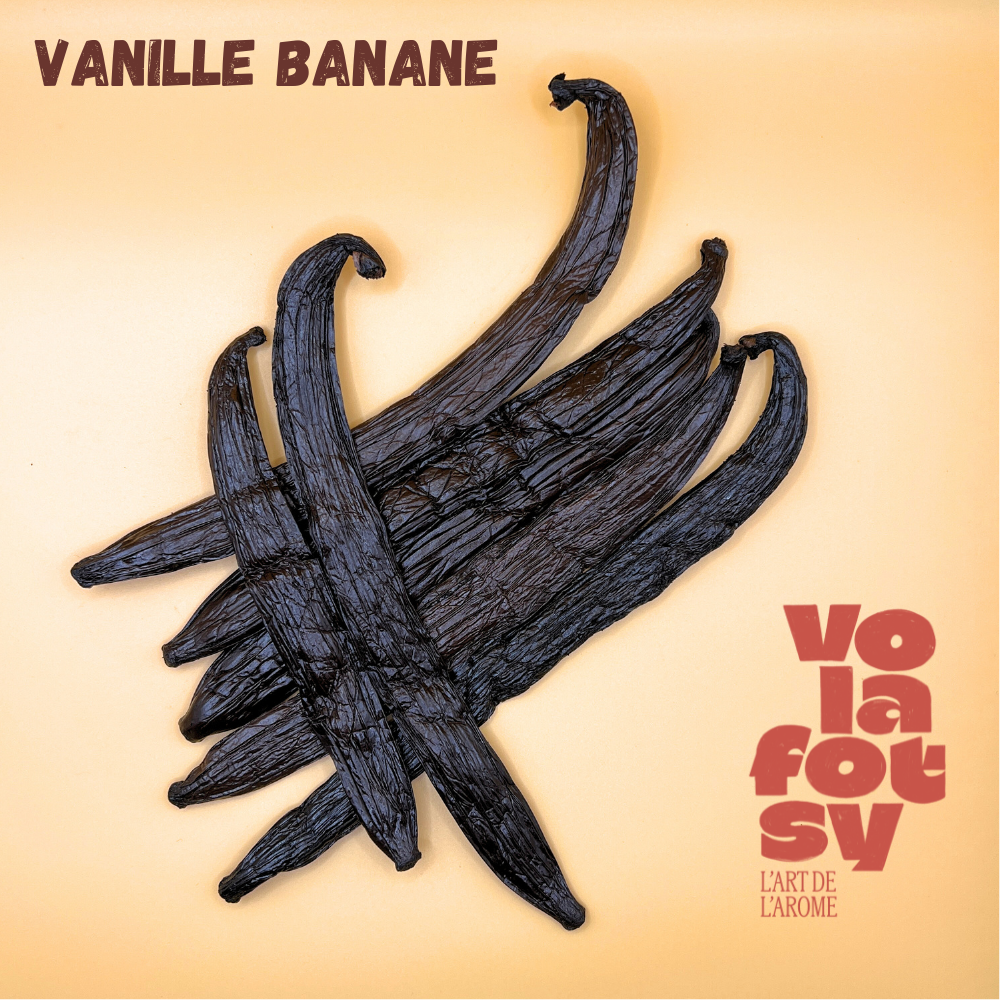 Gousses de vanille banane - 70 gr