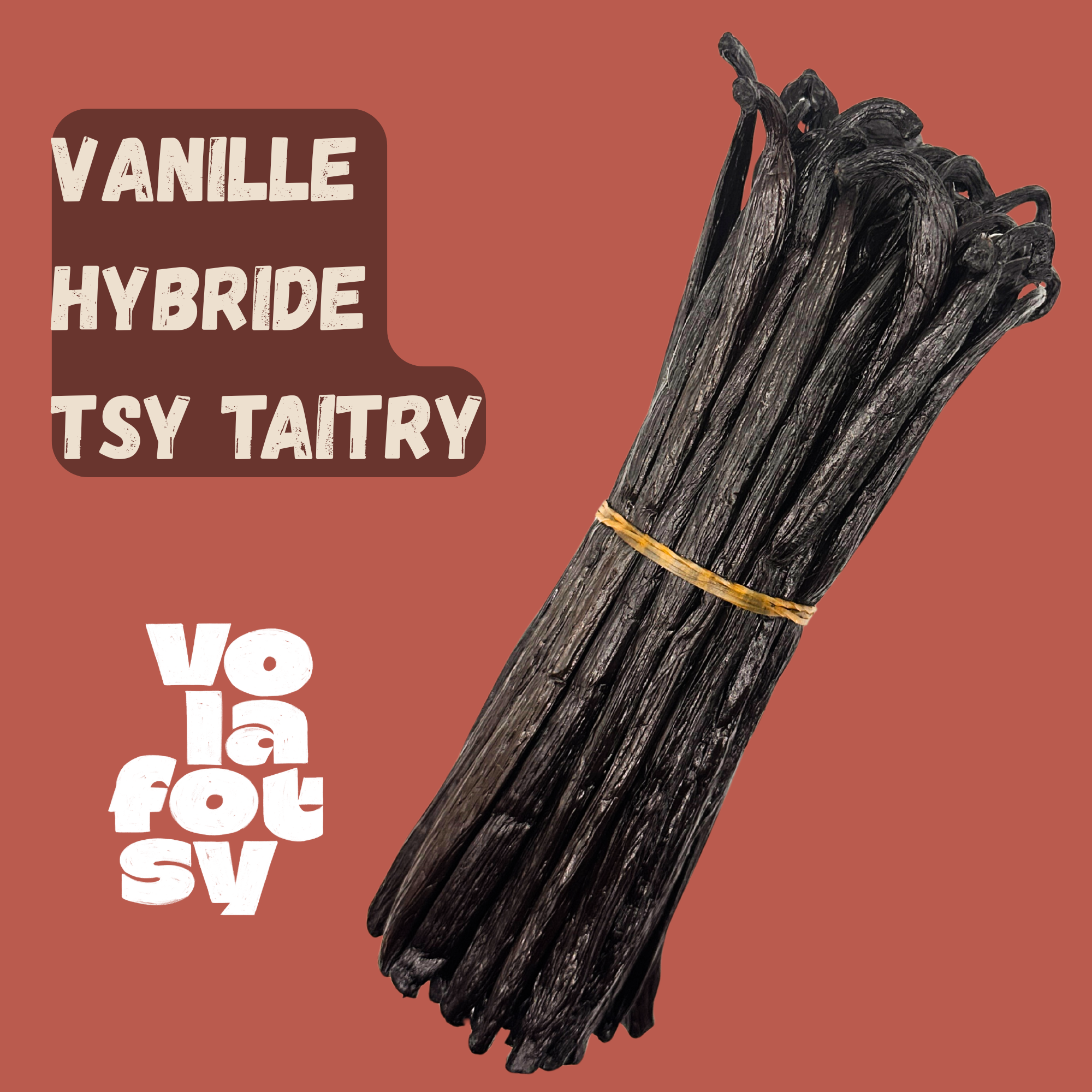 Vanille Hybride - Tsy Taitry