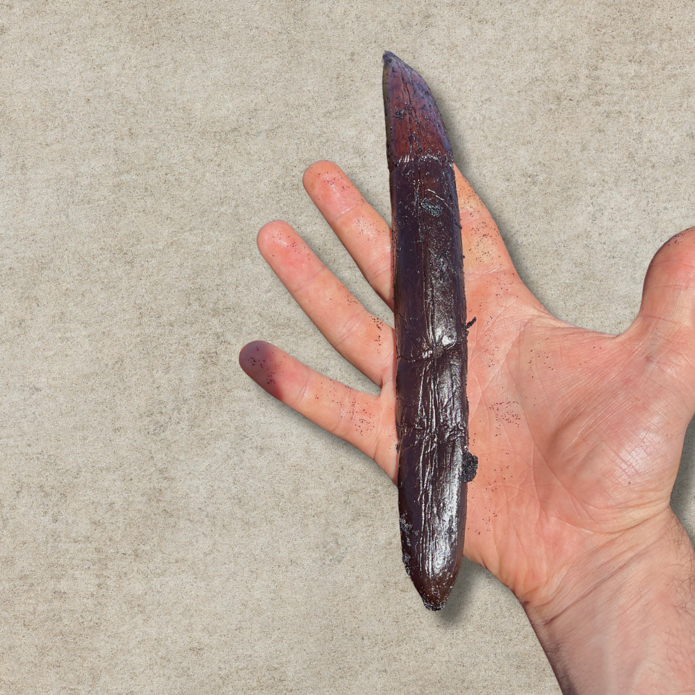 Gousse de Vanille XXL -  80gr