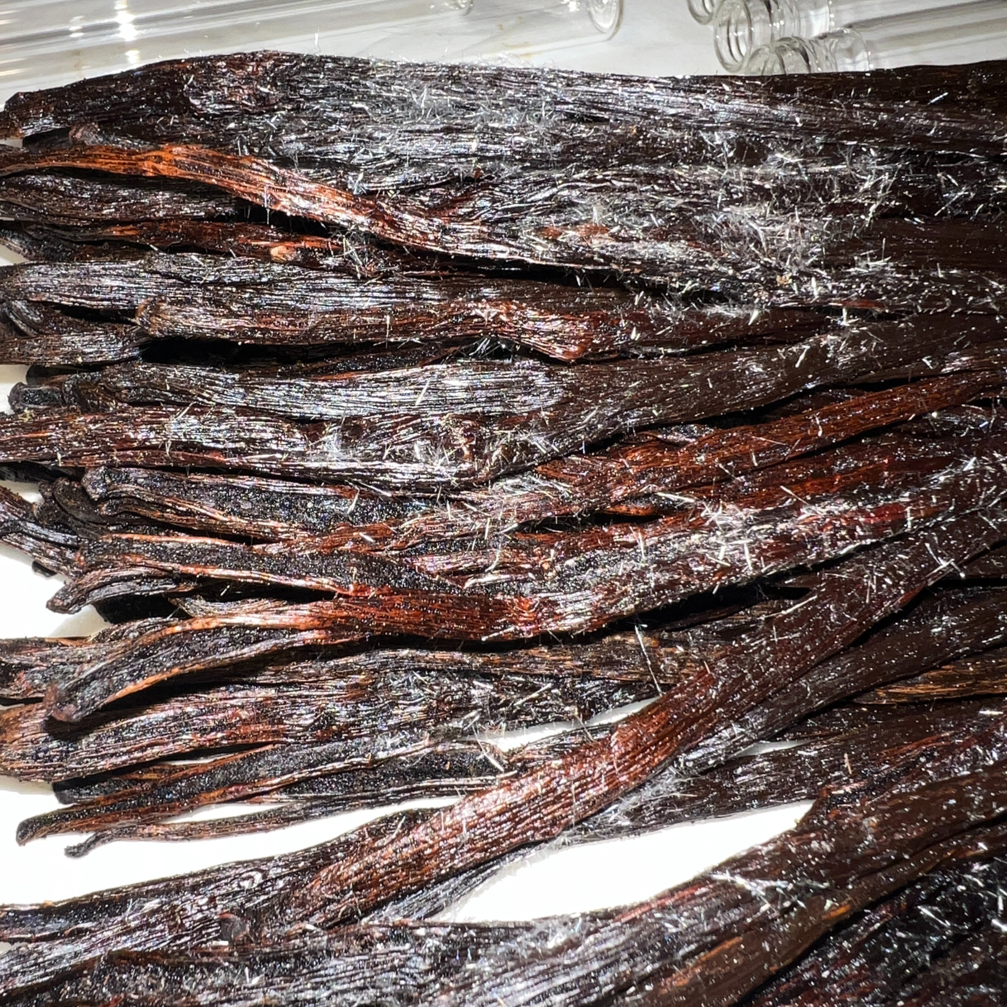 2 Gousses de vanille givrée ❄️ – Vanille d’exception