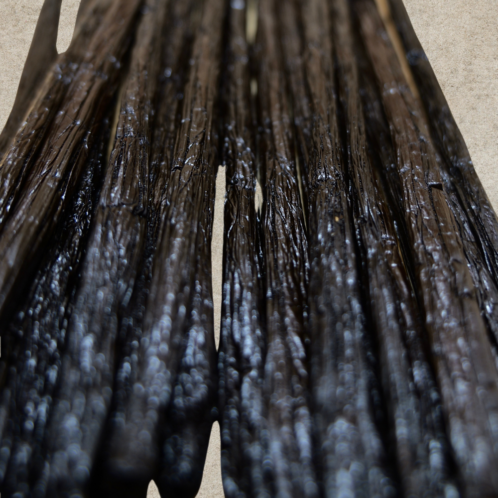 Gousse de Vanille XXL -  80gr